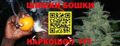 дмт Заводоуковск