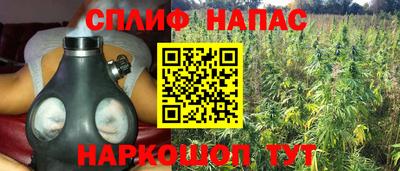 дмт Заводоуковск