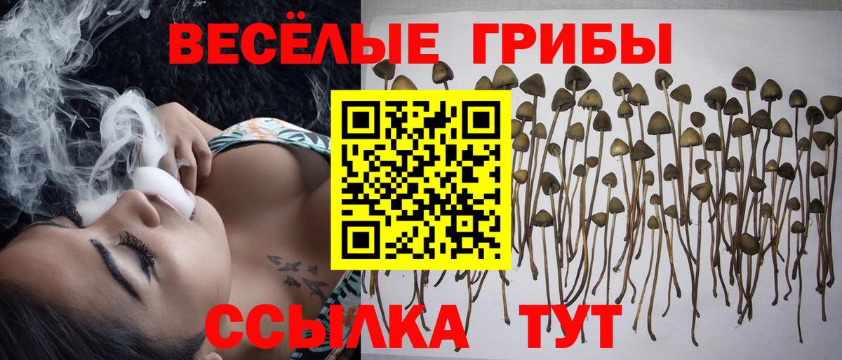 Псилоцибиновые грибы GOLDEN TEACHER  Вход с VPN  Можга 